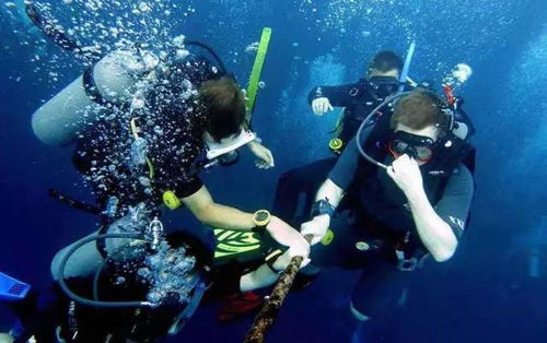 潛水小白的進(jìn)擊 一篇文章帶你詳解潛水核心裝備